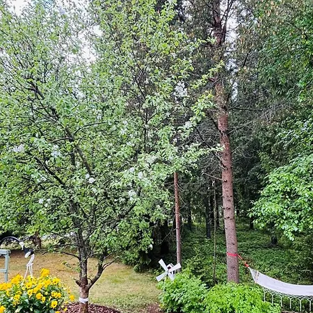 Entire Cozy House With Nature,sauna,patio,parking Feriehus
