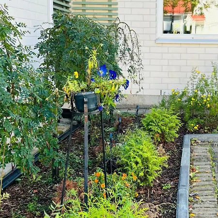 Feriehus Entire Cozy House With Nature,sauna,patio,parking Oulu